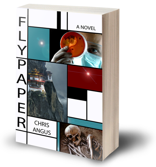 Flypaper, a novel by Chris Angus